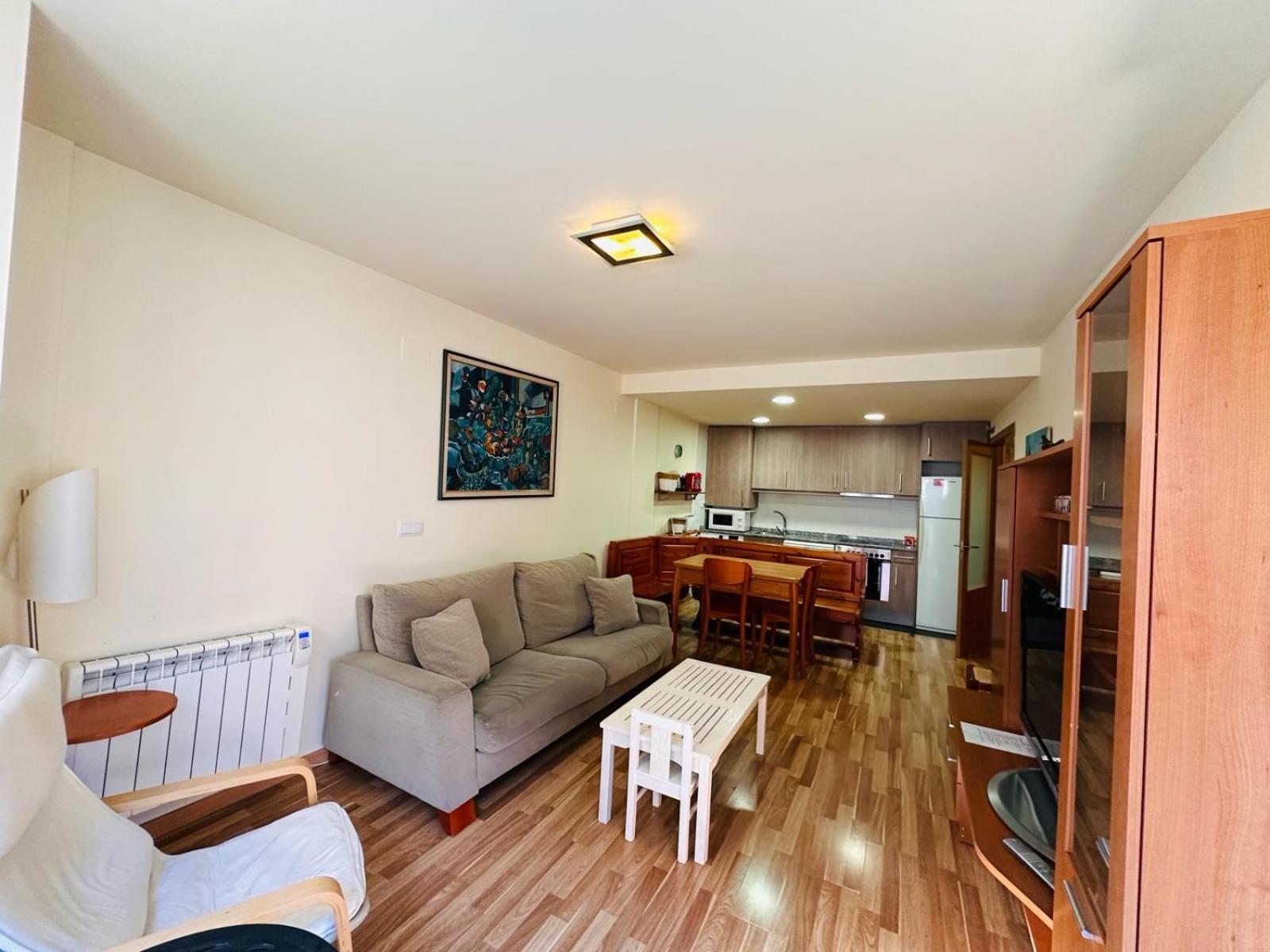 Apartment Bonito En Ainsa